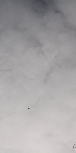 2013 Svojek Mirek Topinka